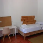 W Private Pool Lisbon & Cascais Oasis Vakantiehuis